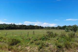 48 ha Land available in Coastal Suburbs photo number 3