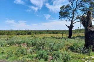 48 ha Land available in Coastal Suburbs photo number 9