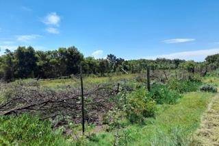 48 ha Land available in Coastal Suburbs photo number 10