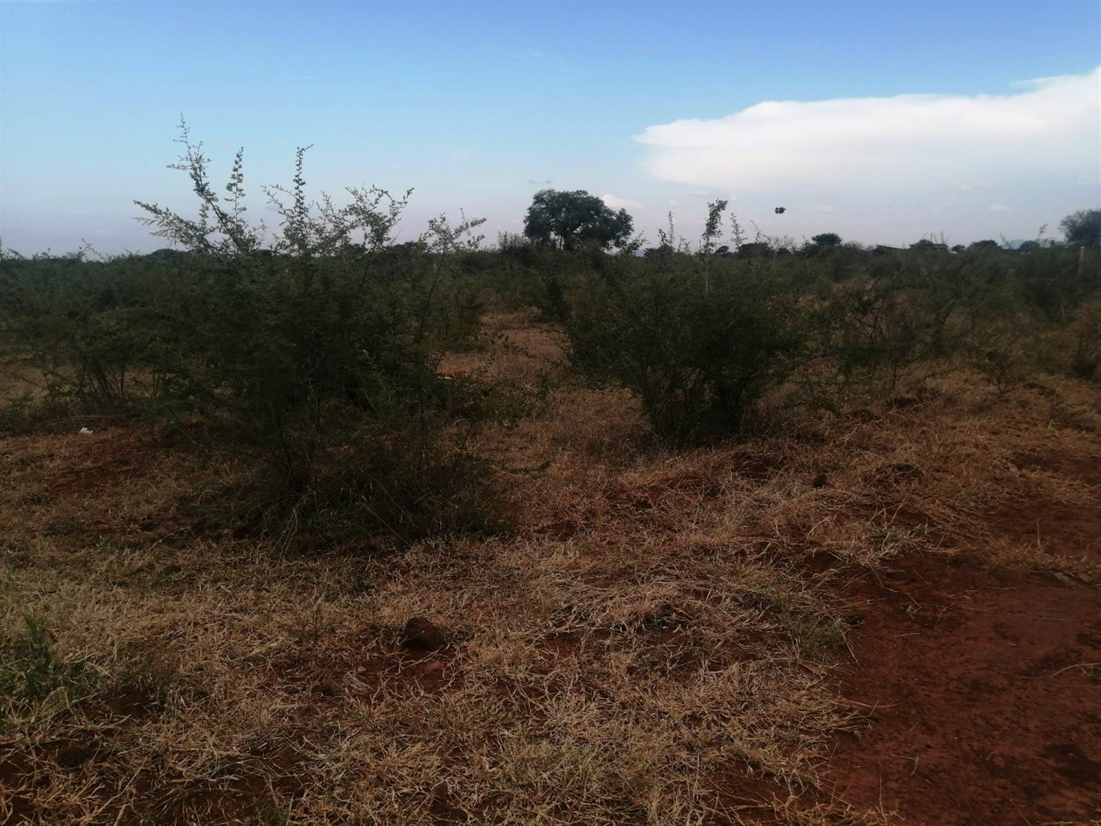 490 m² Land available in Lebowakgomo photo number 1