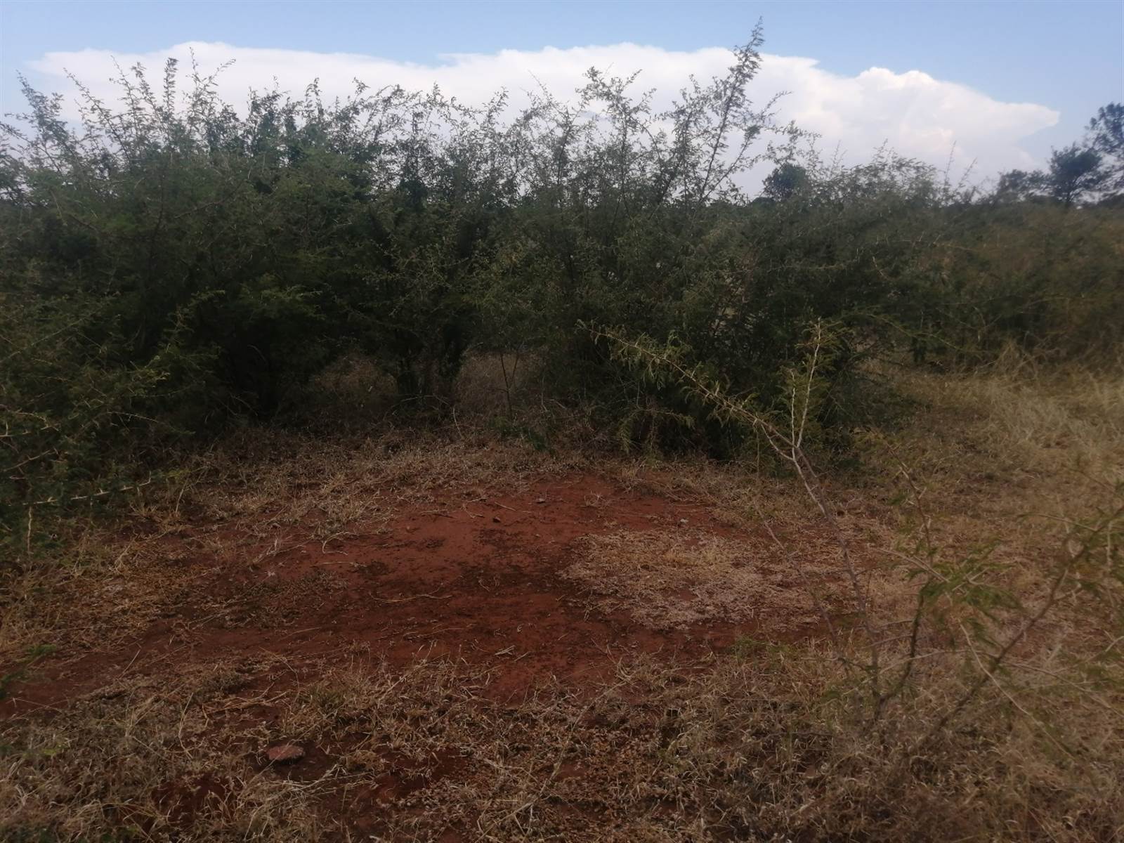 490 m² Land available in Lebowakgomo photo number 2
