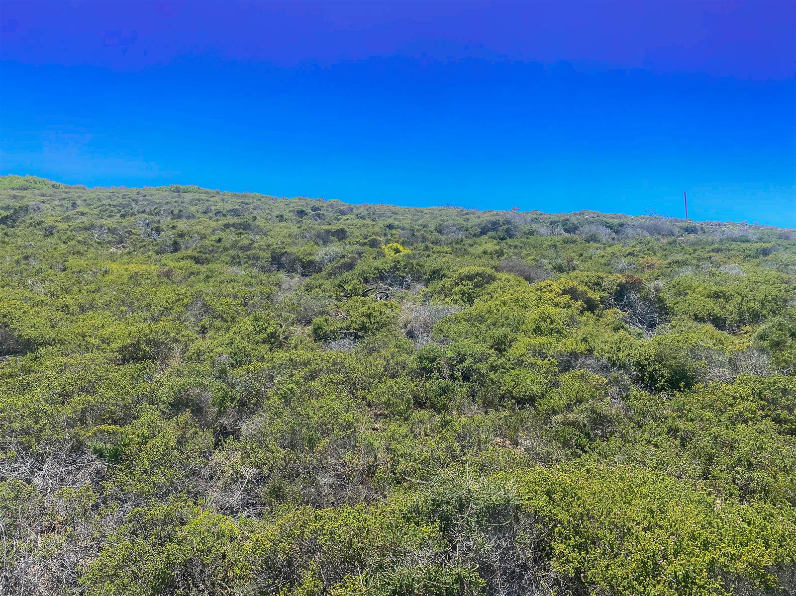 2533 m² Land available in Dana Bay photo number 3