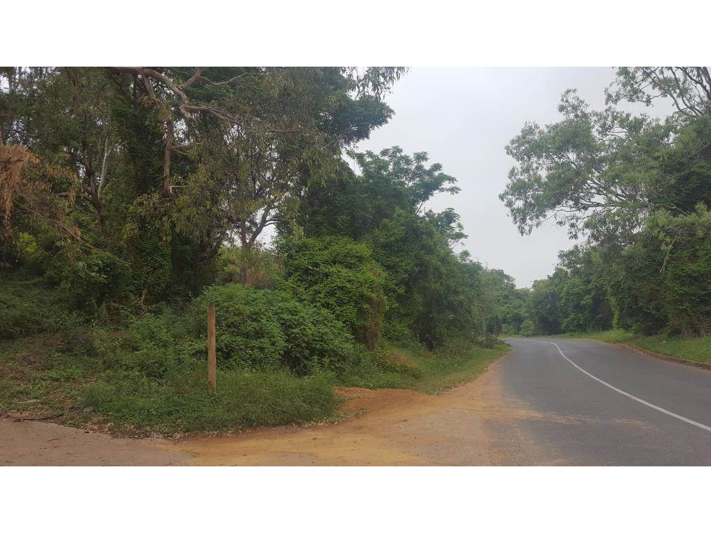 1407 m² Land available in Kingsburgh photo number 6