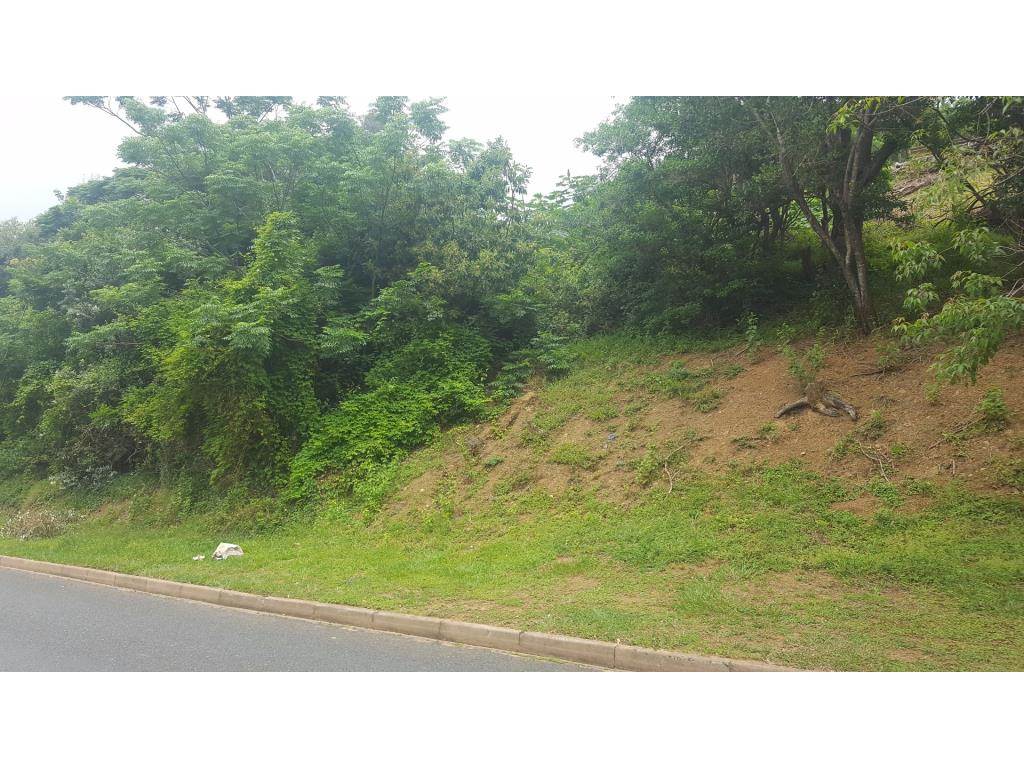 1407 m² Land available in Kingsburgh photo number 8