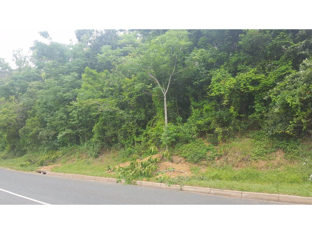 1407 m² Land available in Kingsburgh photo number 2