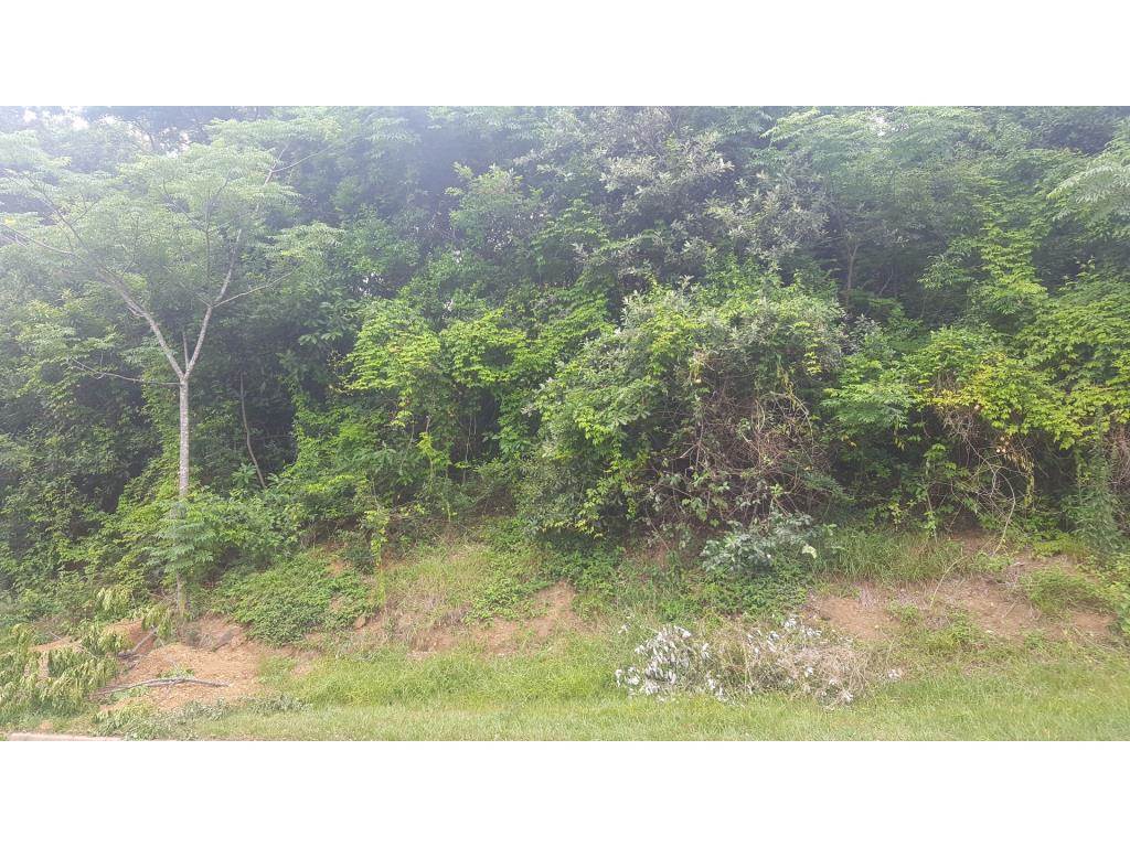1407 m² Land available in Kingsburgh photo number 4