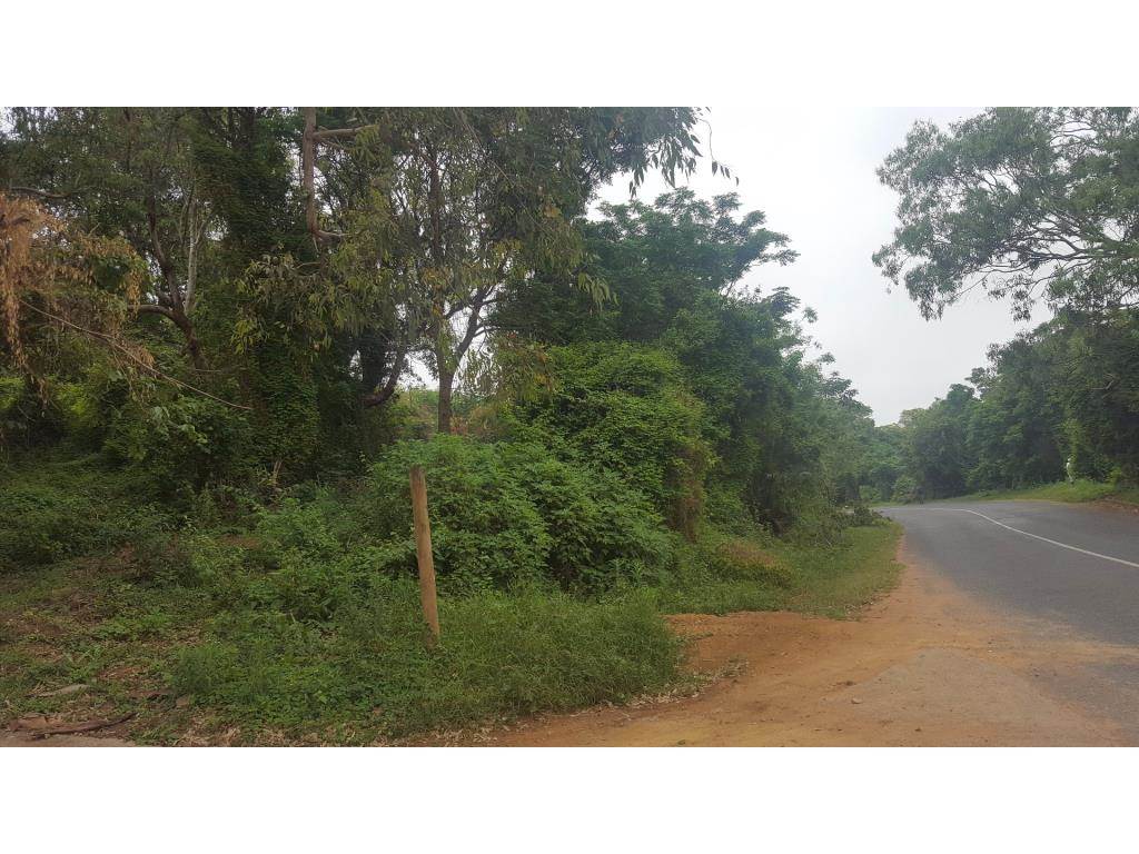 1407 m² Land available in Kingsburgh photo number 5