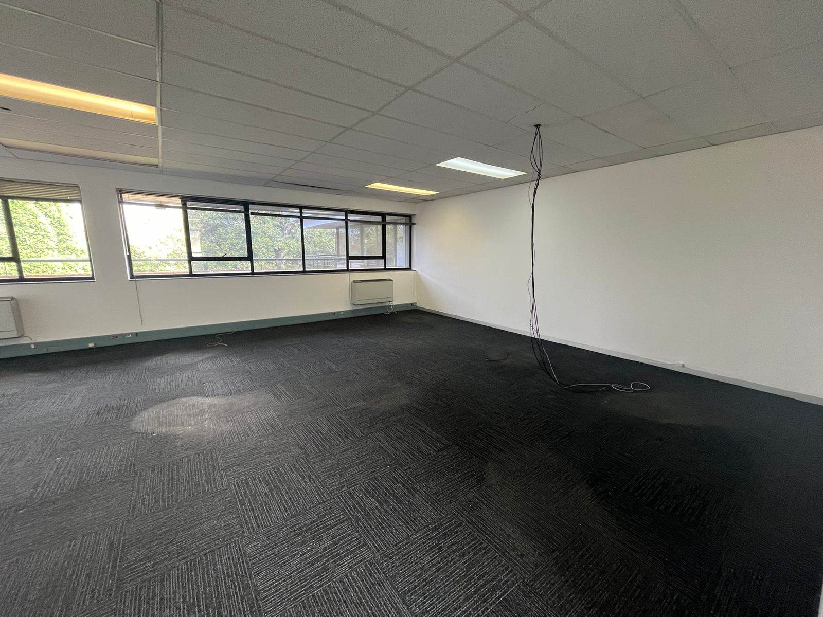 169  m² Commercial space in Bryanston photo number 4