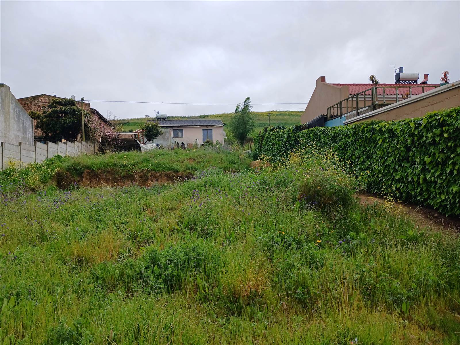 316 m² Land available in Bergsig photo number 4