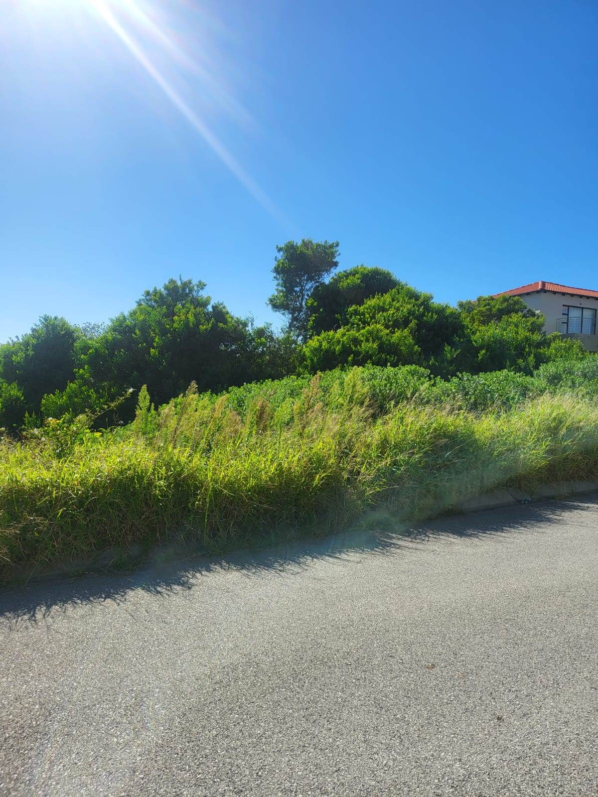 709 m² Land available in Lovemore Park photo number 4