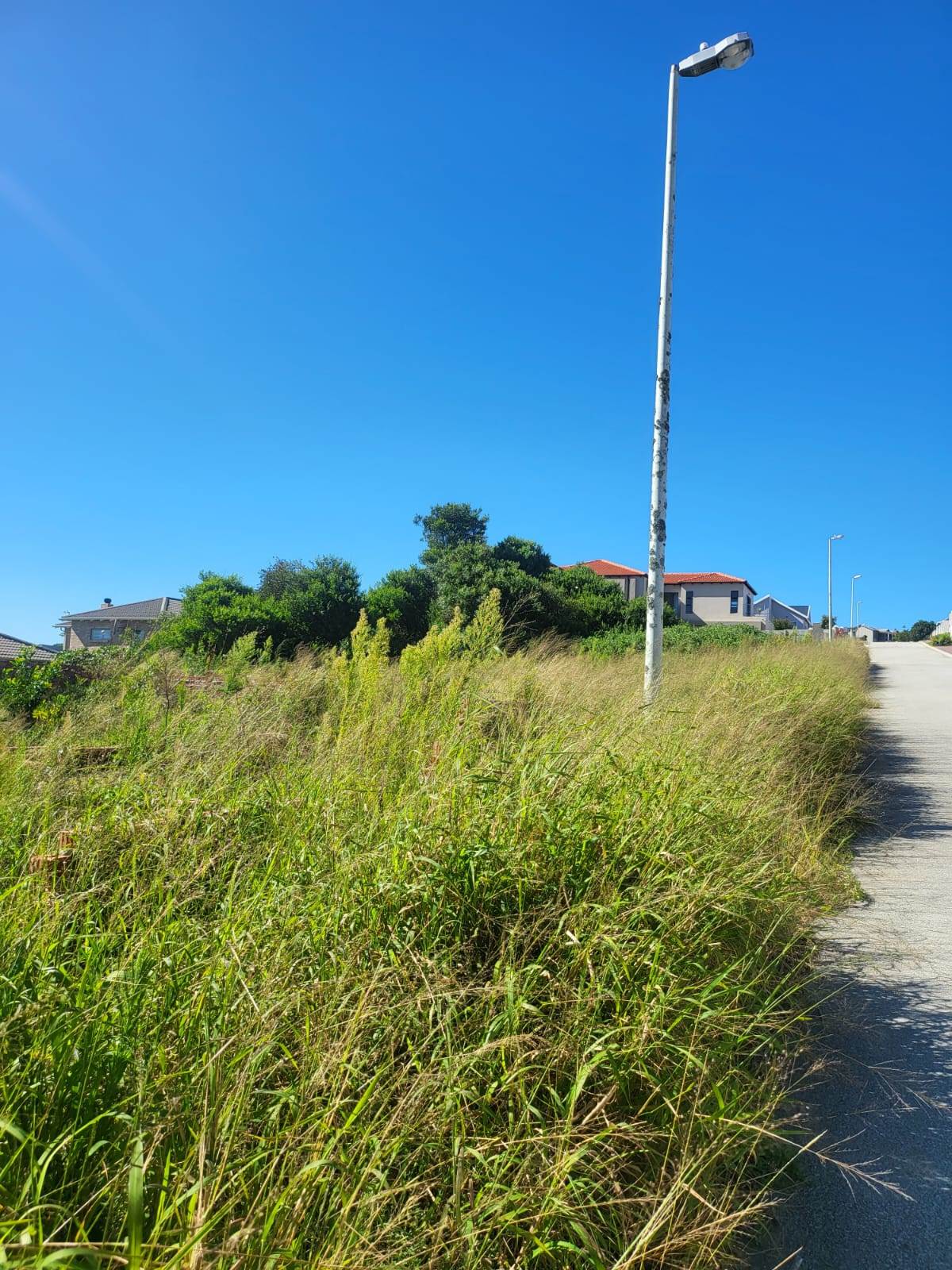 709 m² Land available in Lovemore Park photo number 2