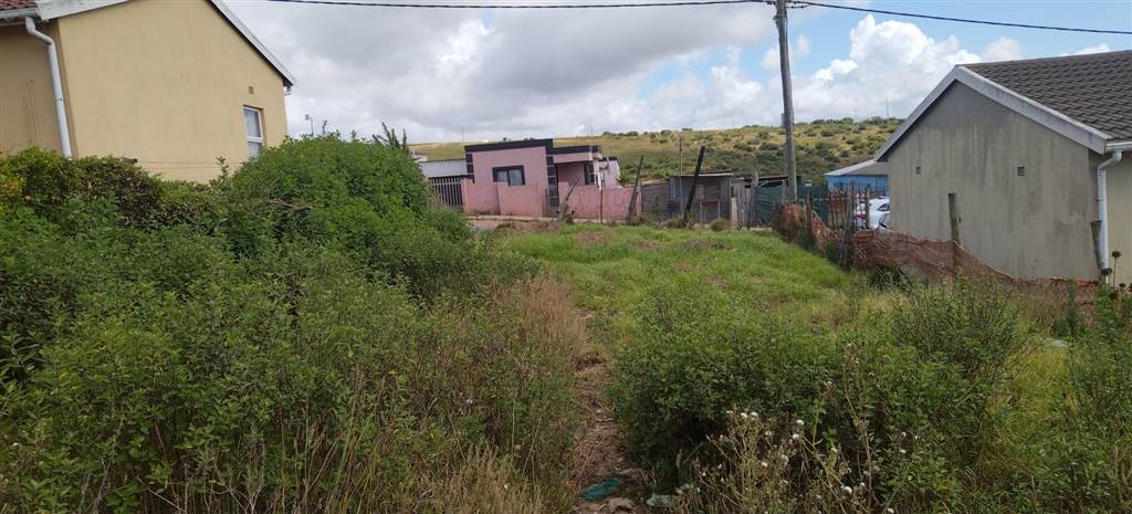 155 m² Land available in Kwanonqaba photo number 1