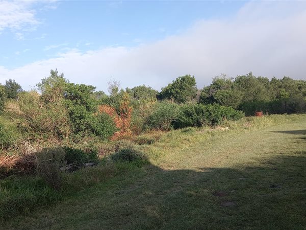 1395 m² Land available in Theescombe