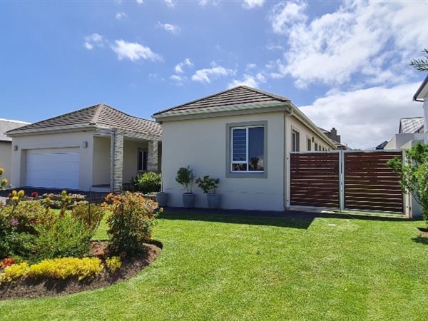 3 Bedroom House 3 Bedroom House