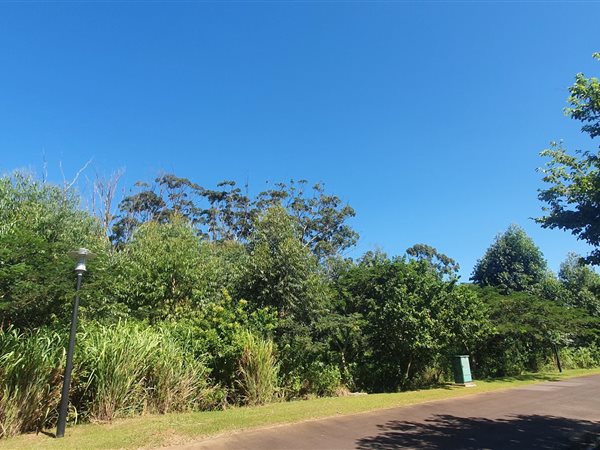 597 m² Land available in Sea Park