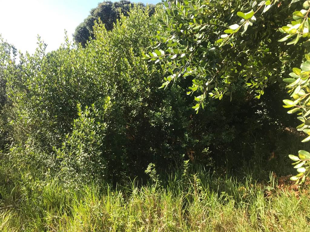 712 m² Land available in The Heads photo number 28