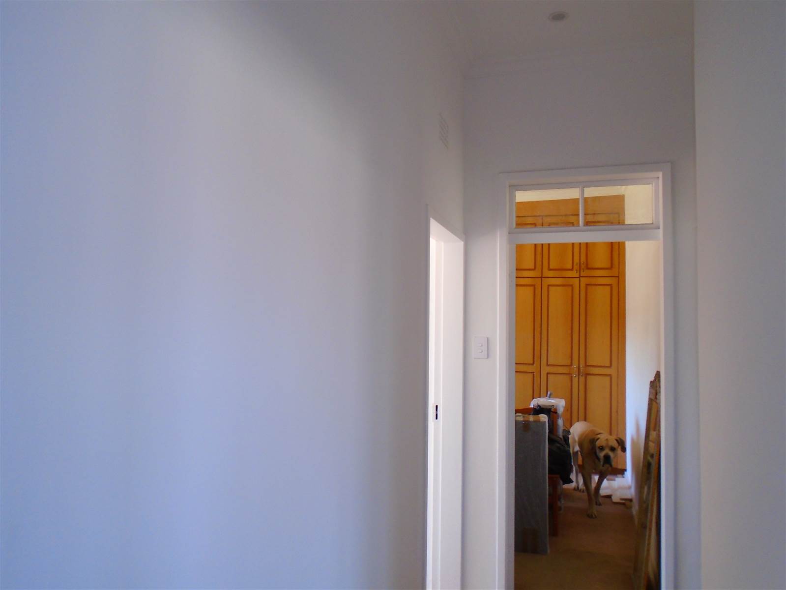 3 Bed House in Florentia photo number 18