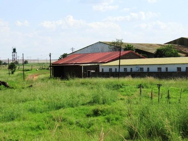 18 ha Farm in Delmas photo number 24