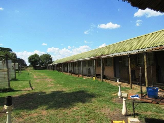 18 ha Farm in Delmas photo number 15