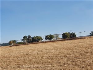 22 ha Farm in Vryheid
