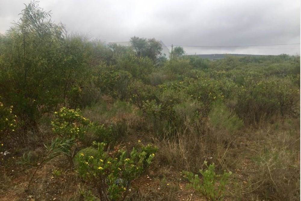 1250 m² Land available in Mossel Bay Central photo number 3
