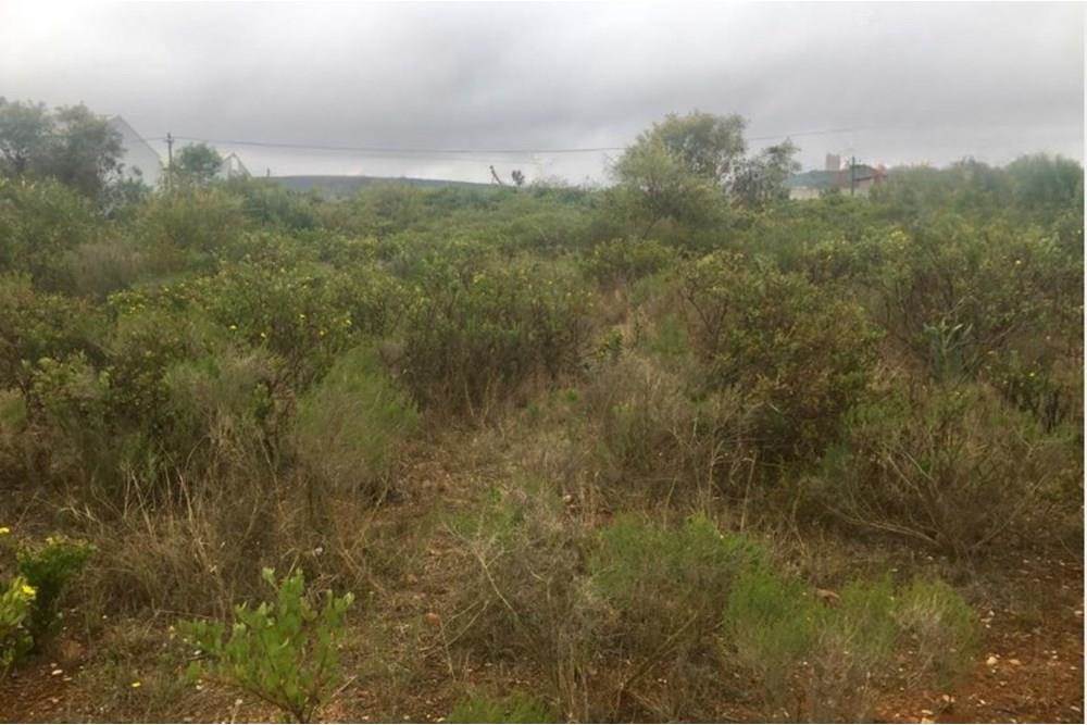 1250 m² Land available in Mossel Bay Central photo number 11