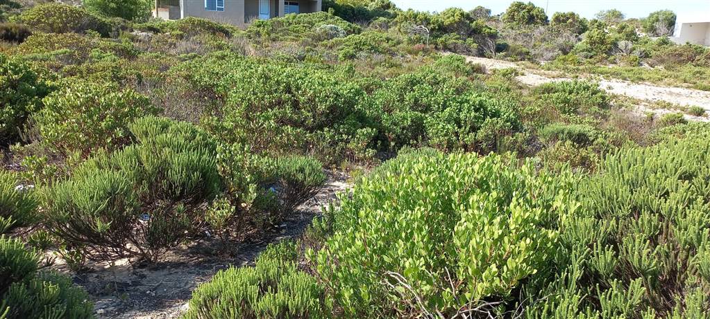 870 m² Land available in Struisbaai photo number 2