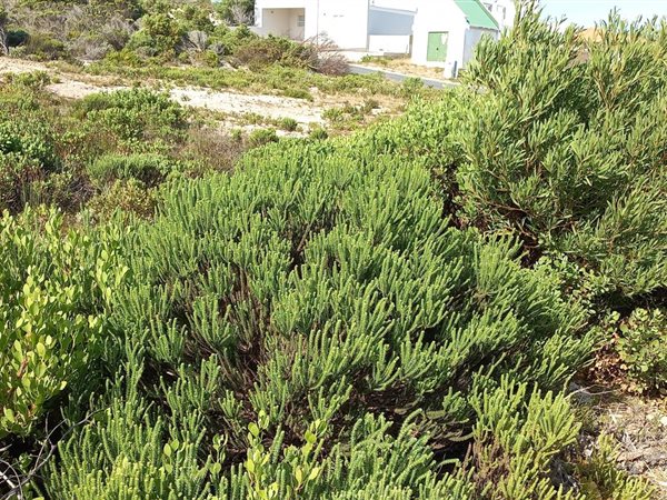 870 m² Land available in Struisbaai