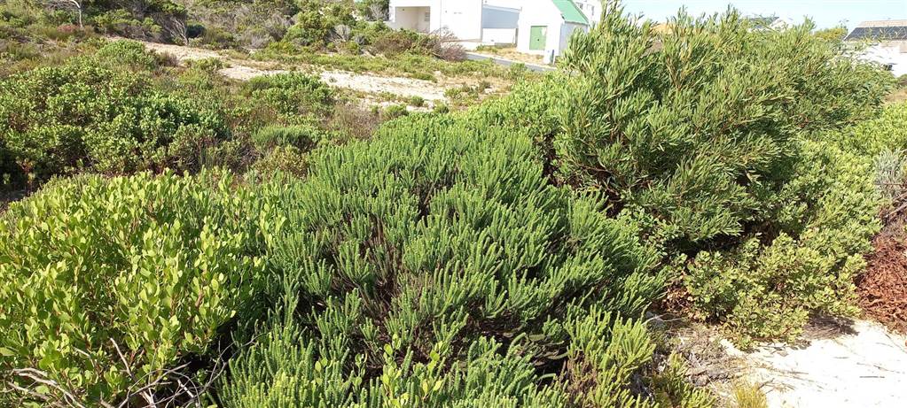 870 m² Land available in Struisbaai photo number 1