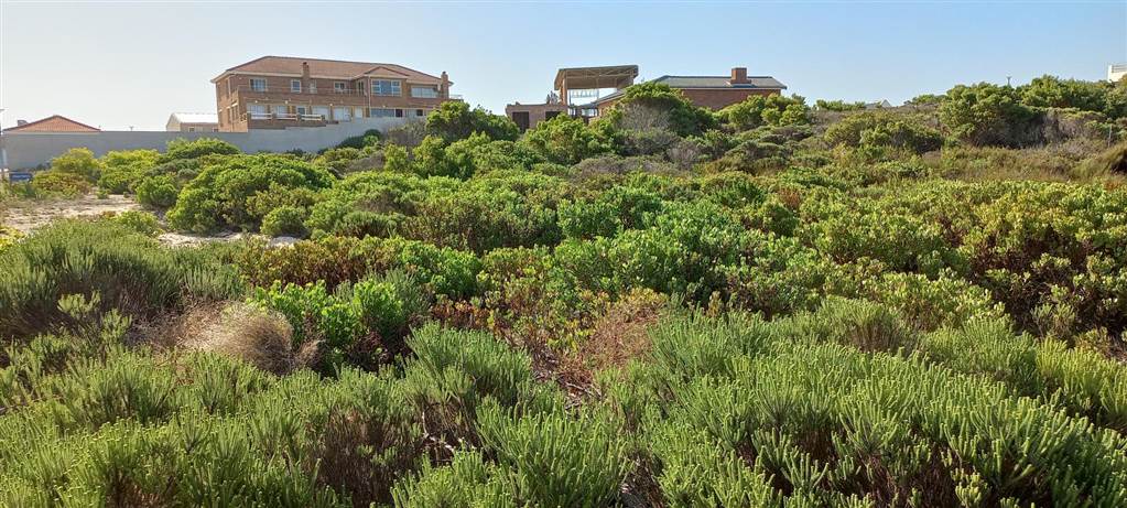870 m² Land available in Struisbaai photo number 3