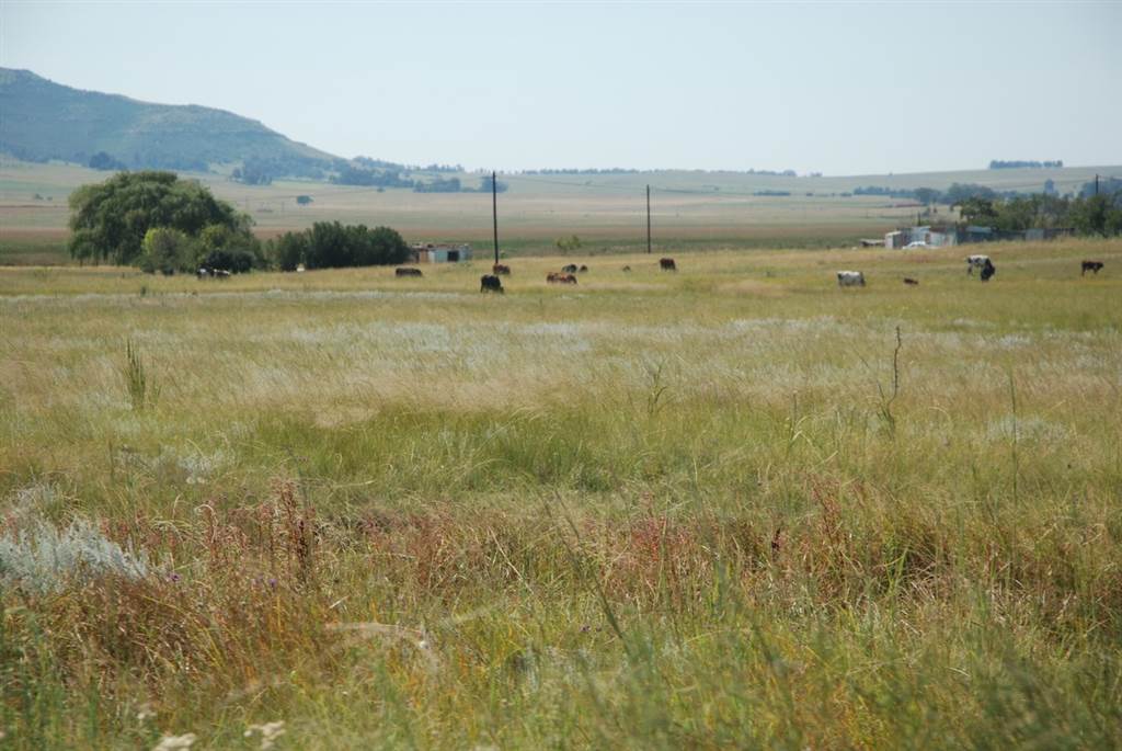 5710 m² Land available in Wakkerstroom photo number 2