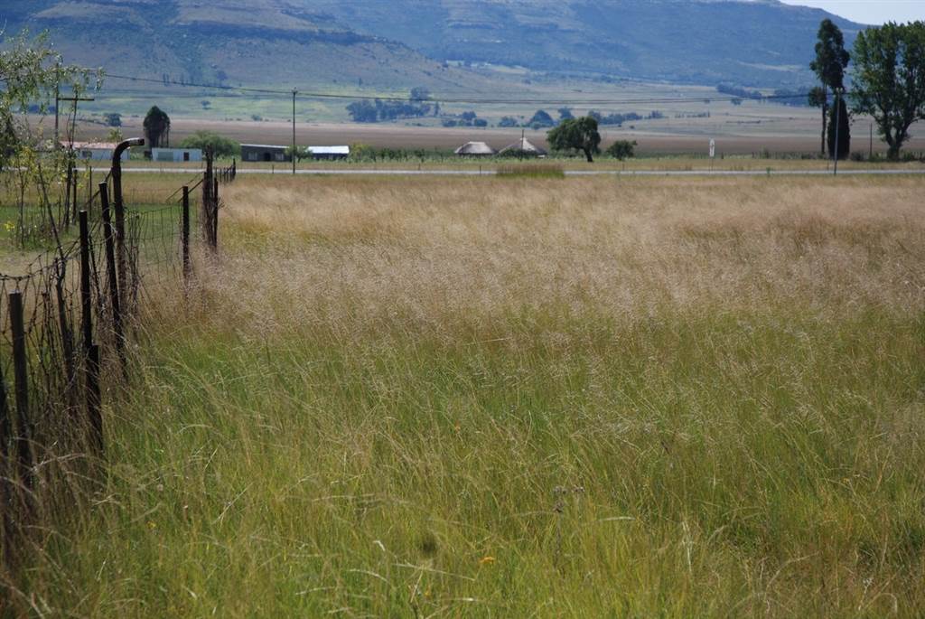 5710 m² Land available in Wakkerstroom photo number 3
