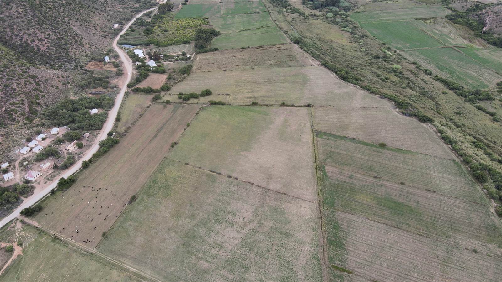 700 ha Farm in Ladismith photo number 5