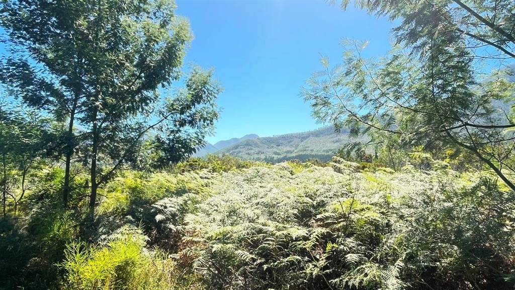 4283 m² Land available in Stormsrivier photo number 3