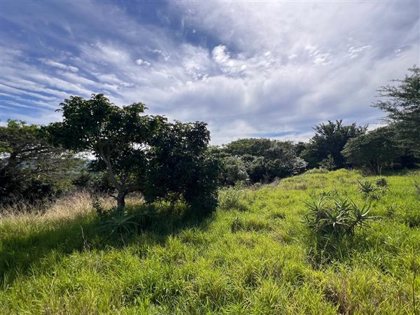 1 510 m² Land 1 510 m² Land