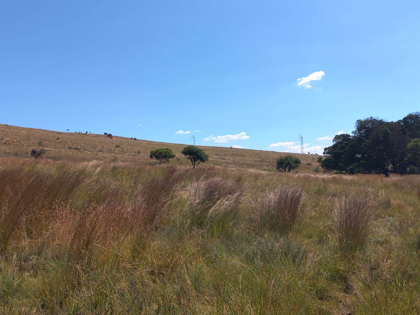22.2 ha Land available in Boschkop photo number 18