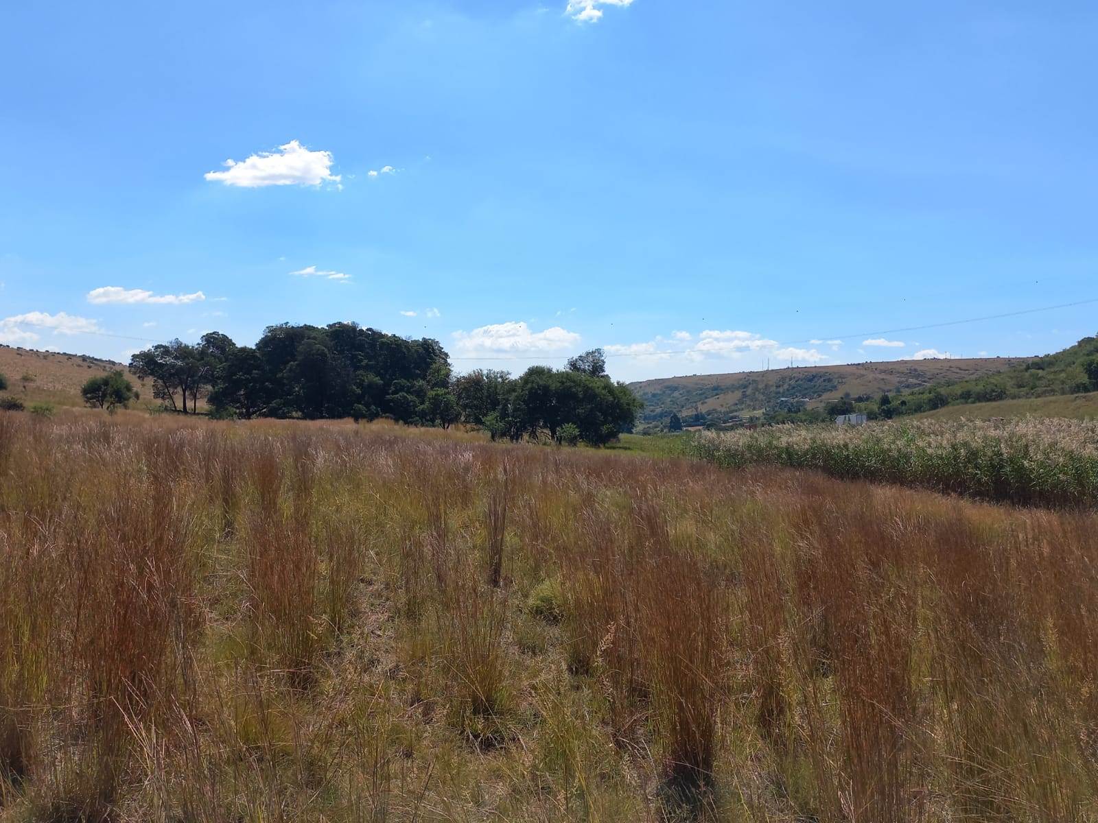 22.2 ha Land available in Boschkop photo number 22