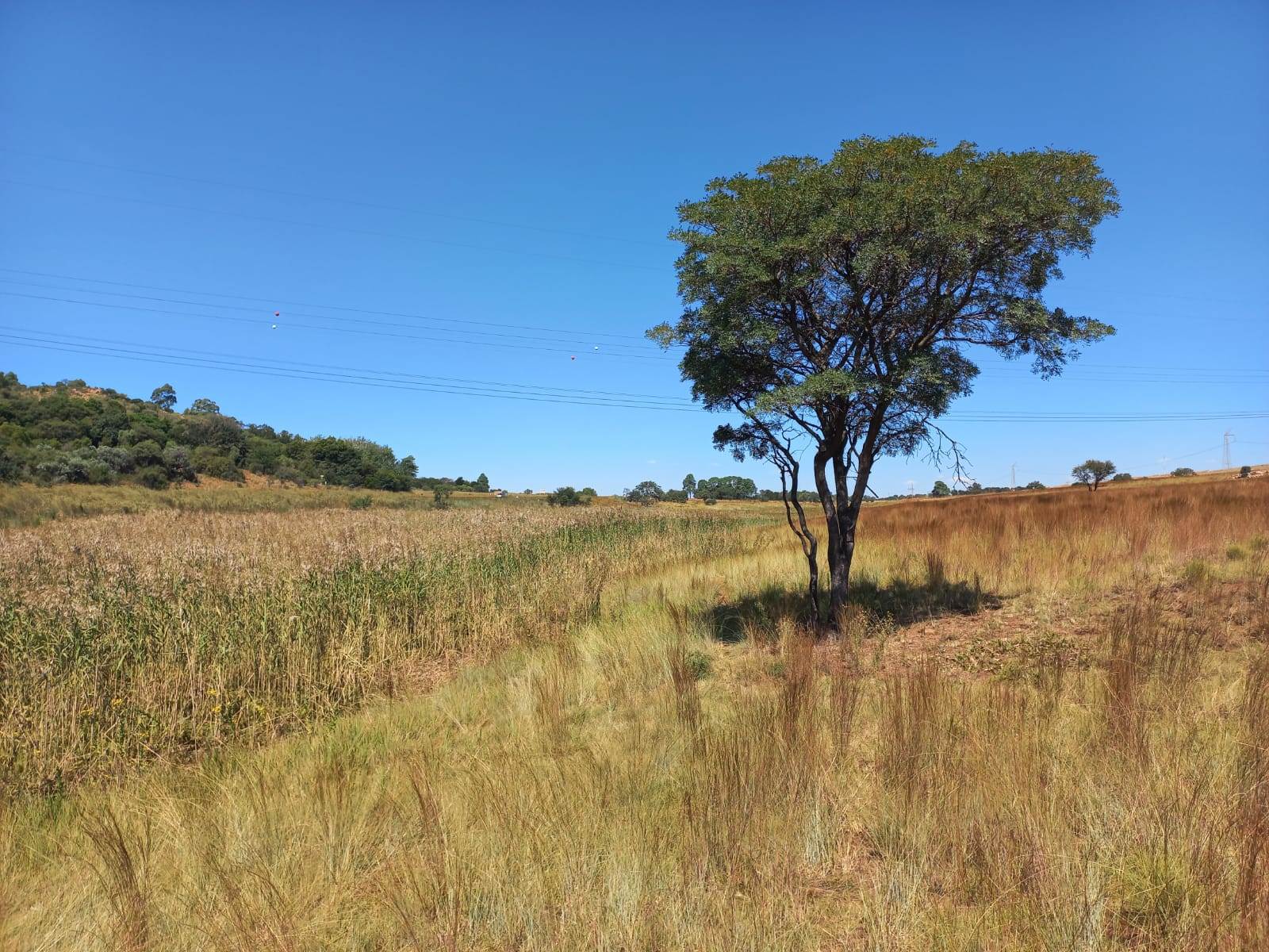 22.2 ha Land available in Boschkop photo number 26