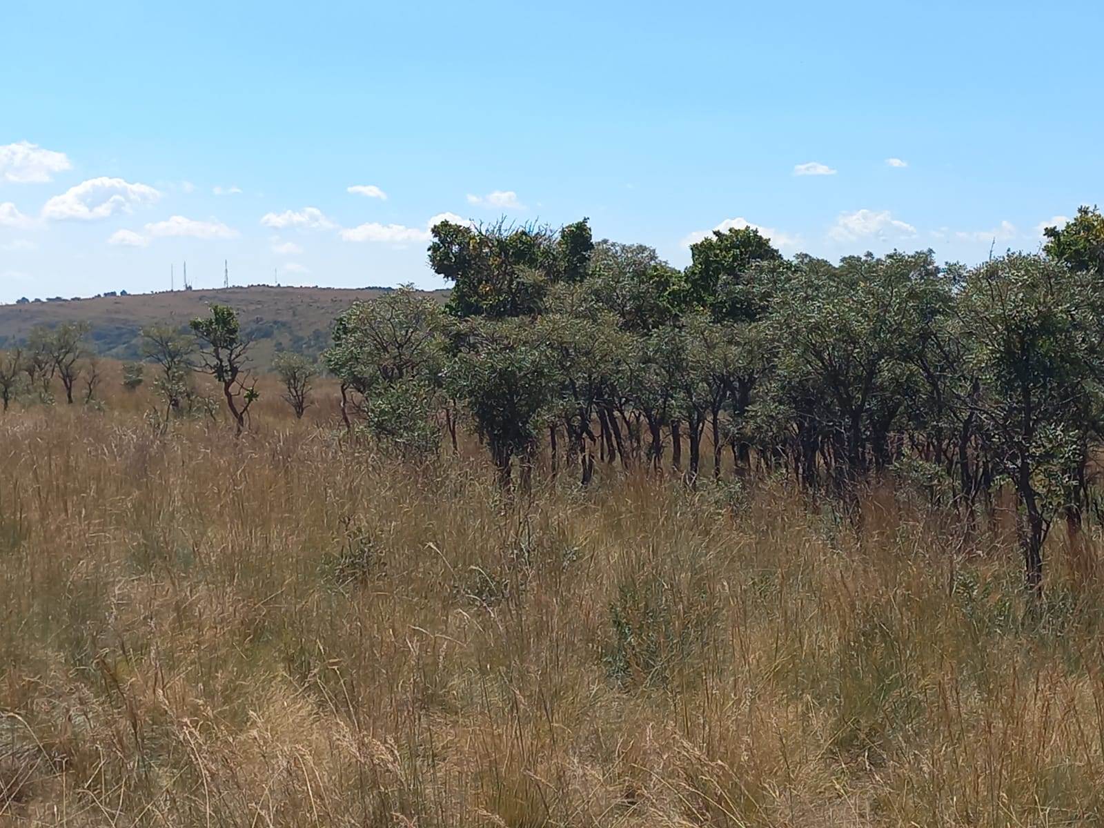 22.2 ha Land available in Boschkop photo number 6
