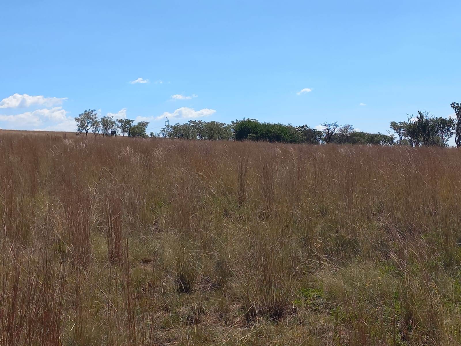 22.2 ha Land available in Boschkop photo number 9