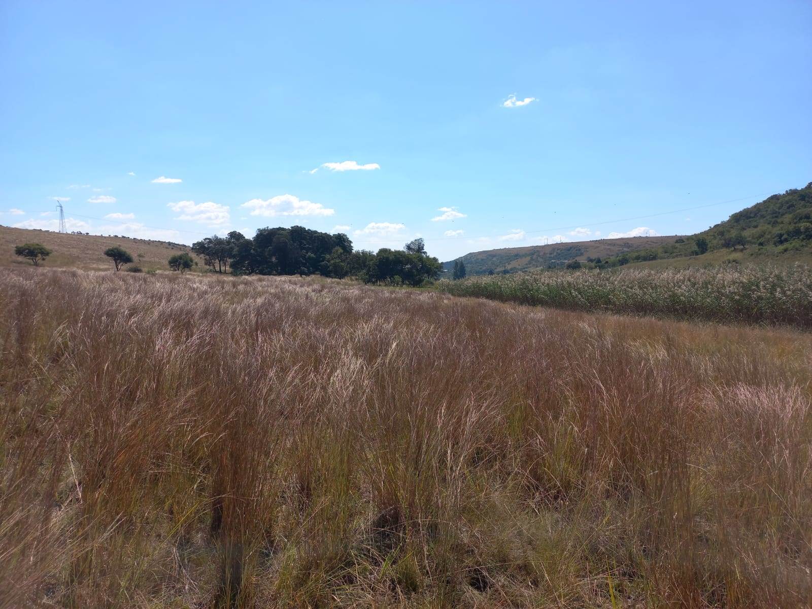 22.2 ha Land available in Boschkop photo number 30