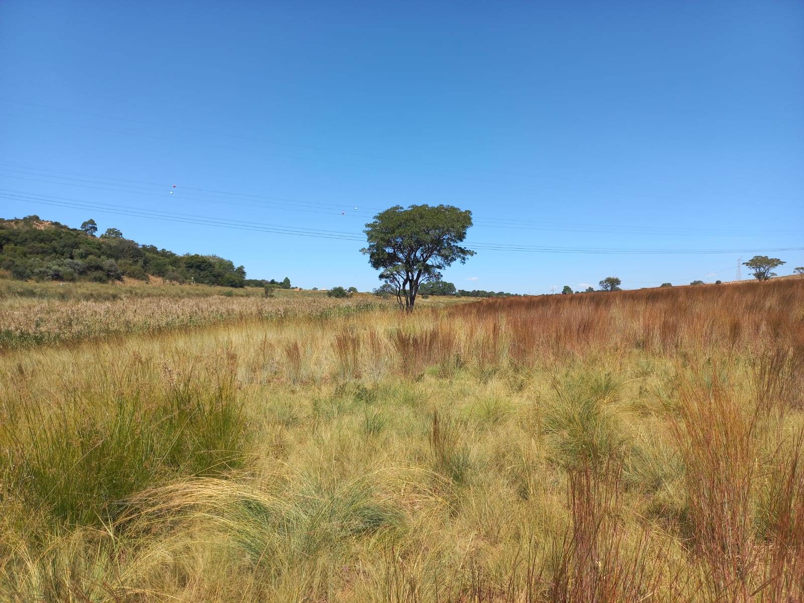 22.2 ha Land available in Boschkop photo number 29