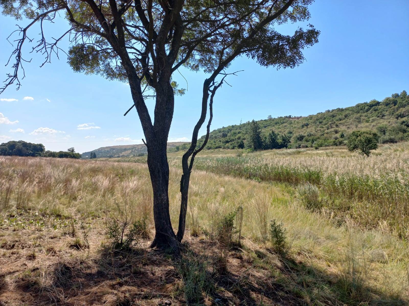 22.2 ha Land available in Boschkop photo number 27
