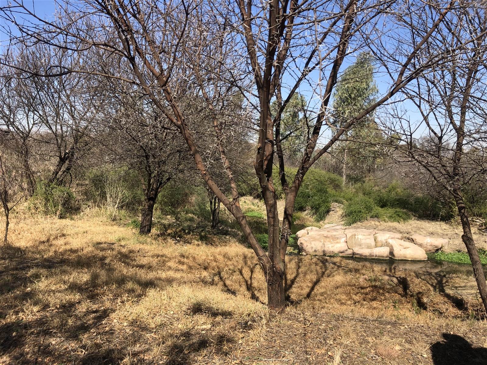 696 m² Land available in Parys Golf Estate photo number 3