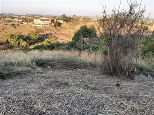 5.5 ha Land available in Marburg