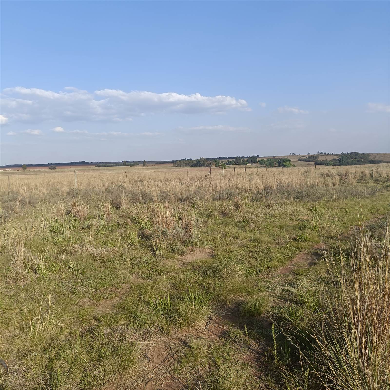 34 ha Land available in Cullinan and Surrounds photo number 21