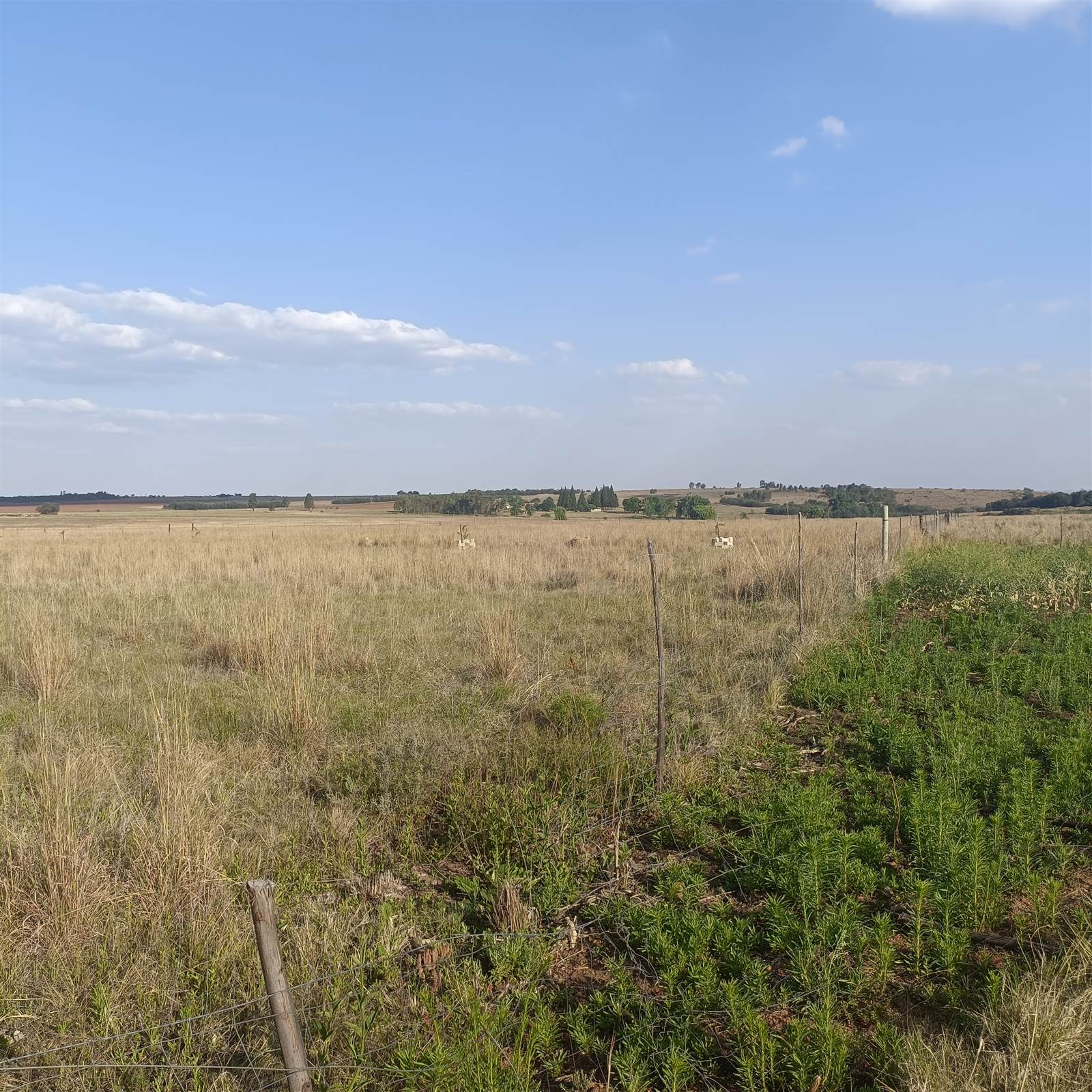 34 ha Land available in Cullinan and Surrounds photo number 3