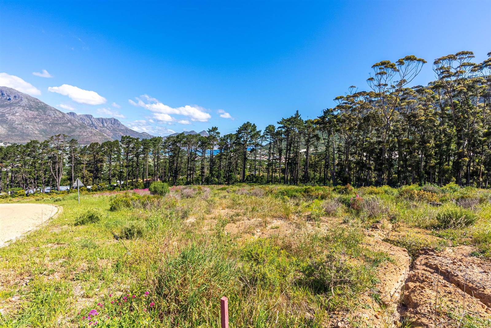 1508 m² Land available in Hout Bay and surrounds photo number 5
