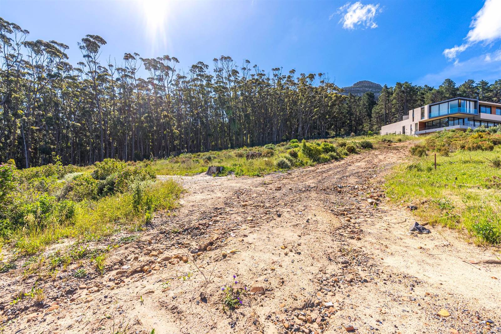 1508 m² Land available in Hout Bay and surrounds photo number 3