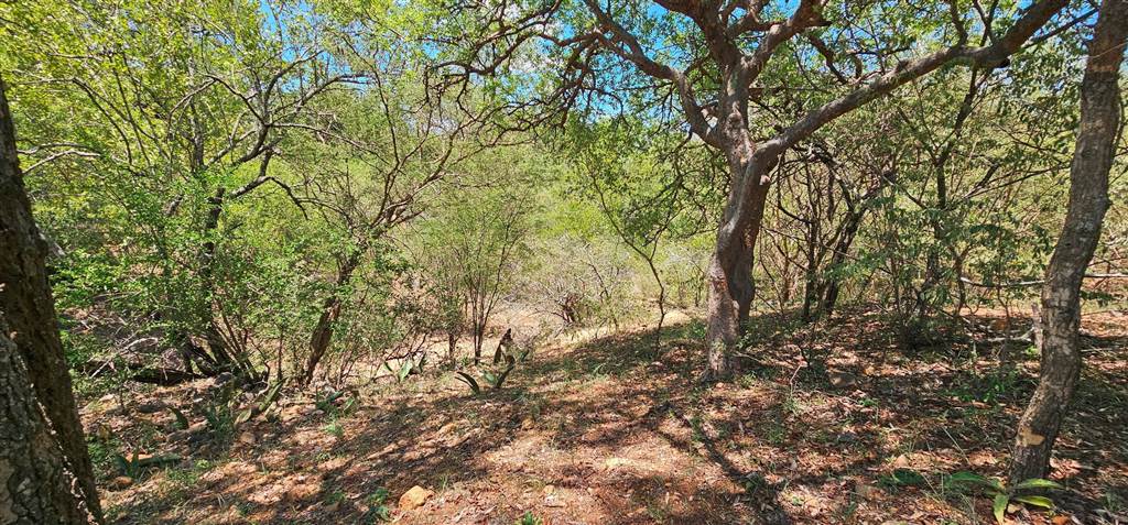 3737 m² Land available in Blyde Wildlife Estate photo number 1